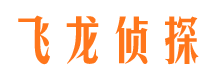 安达侦探